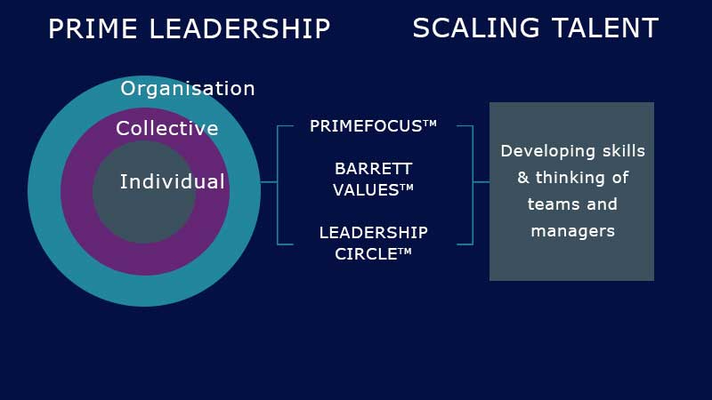 integrated system of leadership and people development